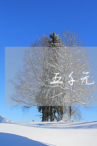 五千元的案件律師費多少?