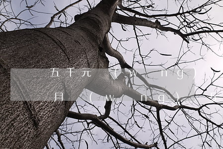 五千元網(wǎng)貸逾期一個(gè)月(網(wǎng)貸5千逾期三年)