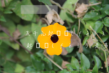五千元起訴費(fèi)是多少錢(5萬元的起訴費(fèi)是多少)
