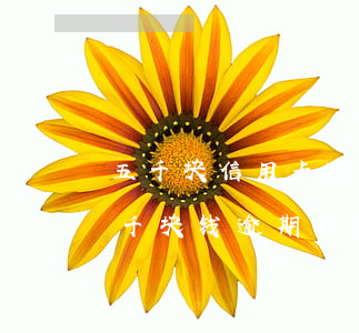 五千块信用卡逾期一年有什么后果（信用卡五千块钱逾期90天）