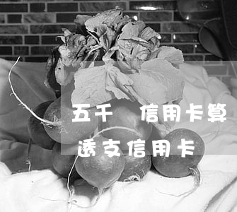 五千塊信用卡算惡意透支么(怎么樣算是惡意透支信用卡)