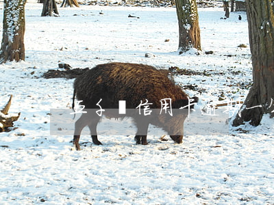 五千塊信用卡逾期一年(一萬信用卡逾期五年)