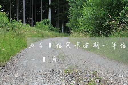 五千塊信用卡逾期一年(信用卡500塊逾期一個月)
