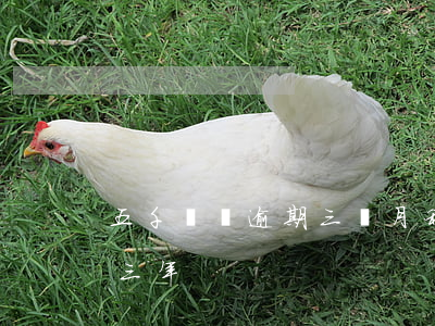 五千塊錢逾期三個月利息多少（五千塊錢逾期三年）