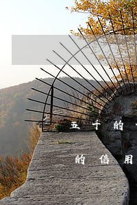 五千的信用卡逾期一個(gè)月利息(五千的信用卡逾期一個(gè)月利息多少)