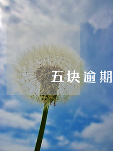 五块逾期了(信用卡5块钱逾期两天)