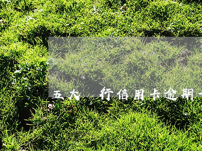 五大銀行信用卡逾期一天(信用卡逾期一天要緊嗎)