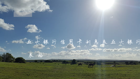 五大银行信用卡利息表(五大银行信用卡利息表格)