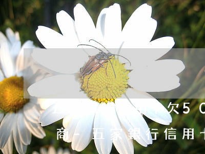 五家銀行信用卡欠50萬怎么協(xié)商-五家銀行信用卡欠50萬怎么協(xié)商還款