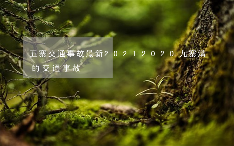 五寨交通事故最新2021(2020九寨溝的交通事故)