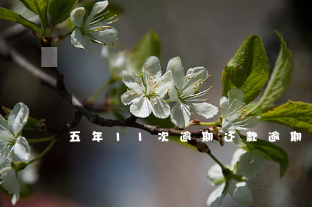 五年11次逾期还款(逾期15次怎么办)