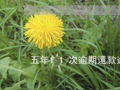 五年11次逾期還款(逾期15次怎么辦)