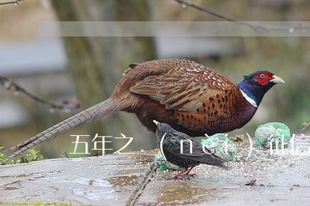 五年之內(nèi)征信逾期消除可以貸款嗎