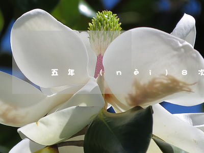 五年內(nèi)8次逾期可以進銀行工作嗎
