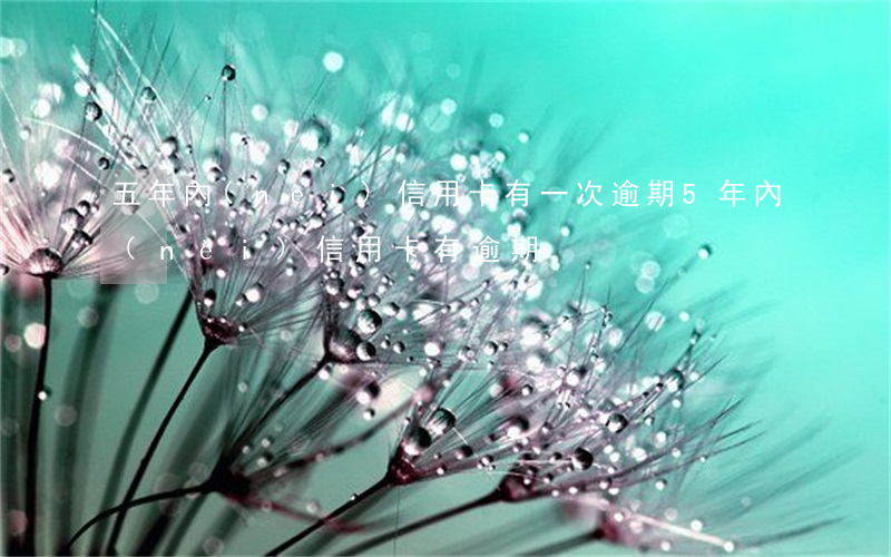五年內(nèi)信用卡有一次逾期（5年內(nèi)信用卡有逾期）