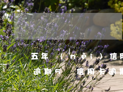 五年內(nèi)信用卡有三個(gè)月逾期(5張信用卡逾期3個(gè)月了怎么辦)