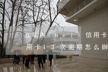 五年內(nèi)信用卡逾期12次（五年信用卡13次逾期怎么辦）