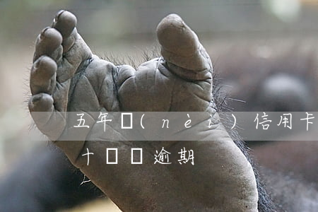 五年內(nèi)信用卡逾期12次（信用卡十幾條逾期）
