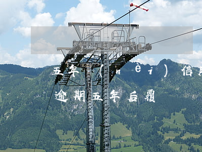 五年內(nèi)信用卡逾期20次（信用卡逾期五年后覆蓋）