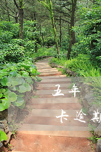 五年內(nèi)信用卡逾期2次（六張信用卡逾期兩年）