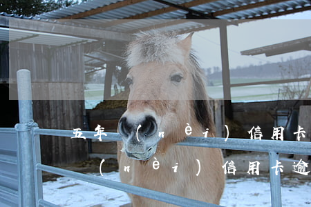 五年內(nèi)信用卡逾期2次貸款(五年內(nèi)信用卡逾期六次)