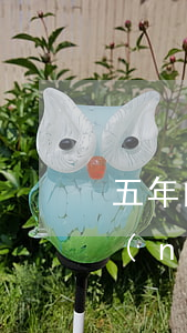五年內(nèi)信用卡逾期了2次（五年內(nèi)信用卡逾期了2次）
