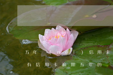 五年內(nèi)信用卡逾期十多次-有沒有信用卡逾期五年的