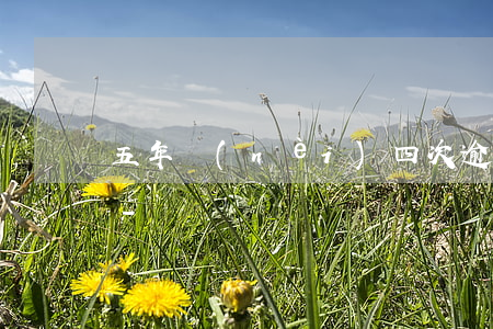 五年內(nèi)四次逾期對按揭影響大嗎-