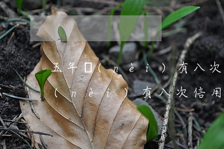五年內(nèi)有八次信用卡逾期(五年內(nèi)有八次信用卡逾期)