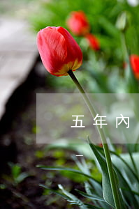 五年內(nèi)有四次逾期還可以貸款嗎-