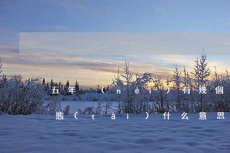 五年內(nèi)有幾個(gè)月逾期狀態(tài)什么意思