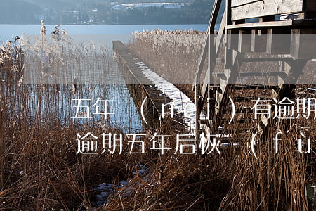 五年內(nèi)有逾期能申請信用卡(信用逾期五年后恢復(fù)可以繼續(xù)申請信用卡嗎)