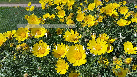 五年內(nèi)發(fā)生過一次信用卡逾期會怎么樣（五年內(nèi)發(fā)生過一次信用卡逾期）