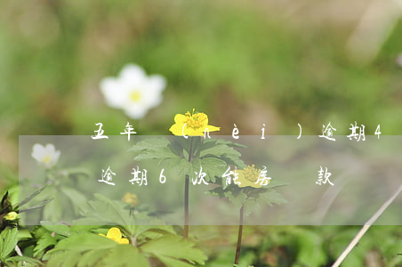 五年內(nèi)逾期4次可以房貸(四年前逾期6次能房貸款嗎)