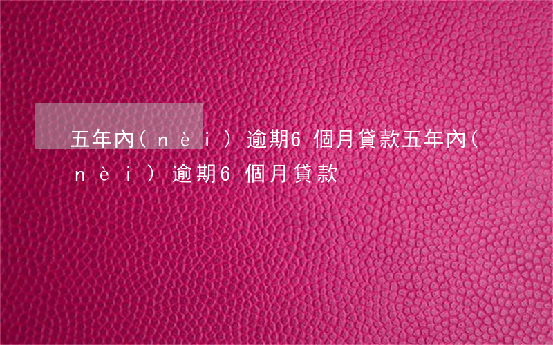 五年內(nèi)逾期6個月貸款(五年內(nèi)逾期6個月貸款)