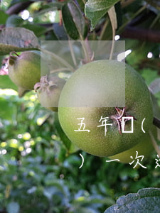 五年內(nèi)逾期較多兩年內(nèi)一次逾期-