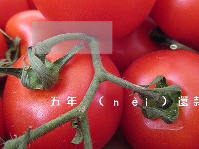 五年內(nèi)還款逾期兩次