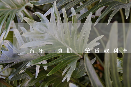 五年內逾期一筆貸款利率會高嗎-