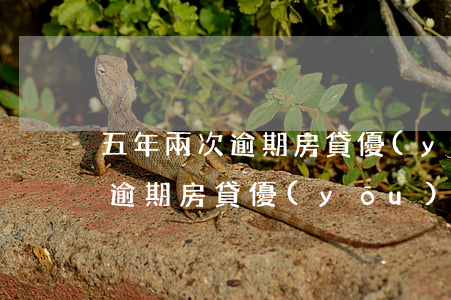 五年兩次逾期房貸優(yōu)惠(五年兩次逾期房貸優(yōu)惠)