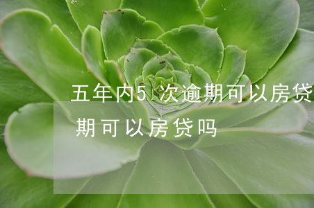 五年内5次逾期可以房贷吗-五年内5次逾期可以房贷吗