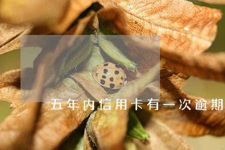 五年内信用卡有一次逾期（信用卡逾期五我年）