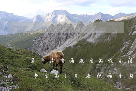 五年内有两次逾期能办信用卡么(五年内信用卡逾期10次但两年内无逾期)