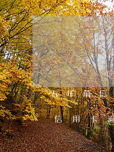 五年前信用卡有逾期影響房貸嗎(貸款逾期和信用卡逾期一樣影響5年征信嗎)