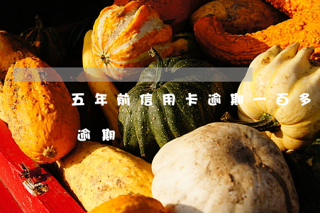 五年前信用卡逾期一百多天(5年前的信用卡逾期)