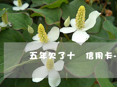 五年欠了十萬信用卡-五年欠了十萬信用卡