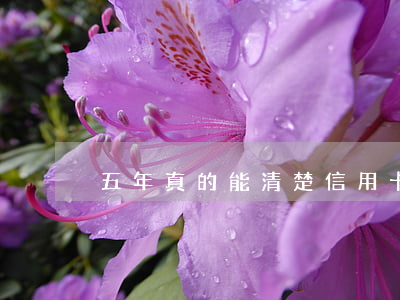 五年真的能清楚信用卡逾期記錄嗎