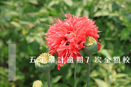 五年累計逾期7次金額較小能貸款嗎