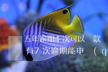 五年逾期4次可以貸款嗎(5年內(nèi)有7次逾期能申請(qǐng)貸款嗎)