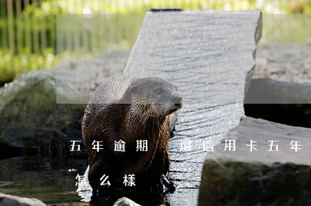 五年逾期沒還信用卡(五年逾期沒還信用卡會怎么樣)