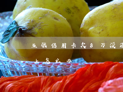 五张信用卡欠8万没还(欠信用卡8万元还不上怎么办)